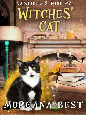 cover image of Witches' Cat